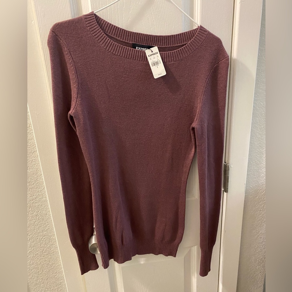 Express Fall Sweater